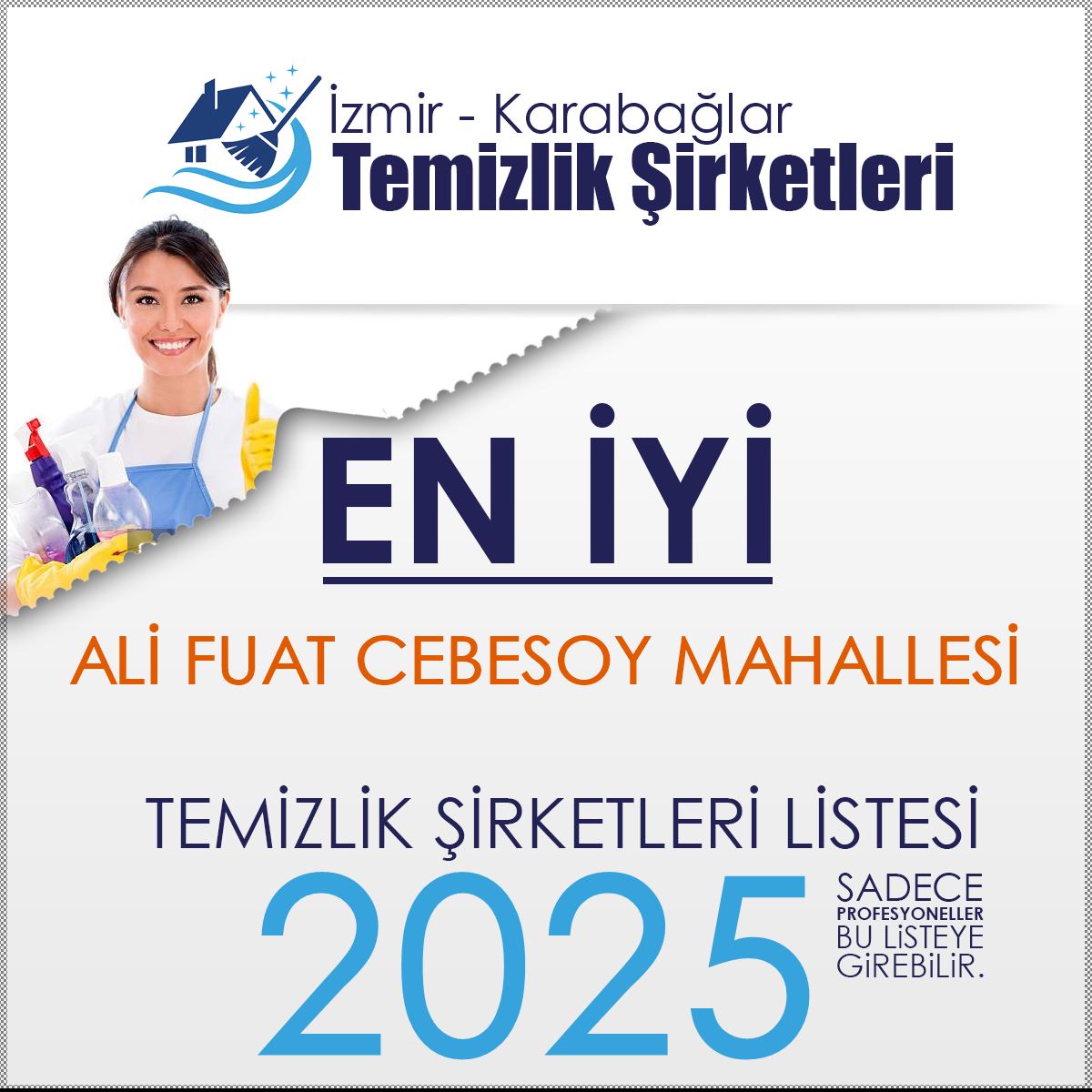 Ali Fuat Cebesoy Mahallesi Temizlik Şirketleri